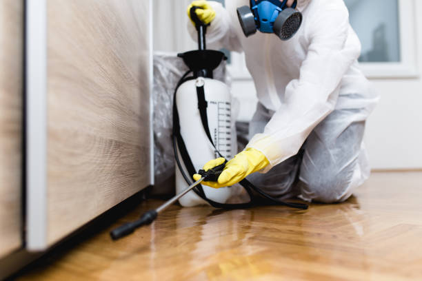 Best Local Pest Control Services  in Bronson, FL