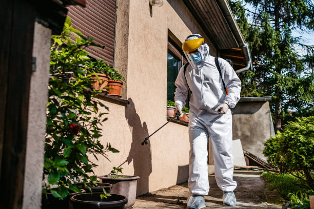 Best Emergency Pest Control  in Bronson, FL