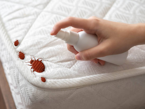 Best Residential Pest Control  in Bronson, FL